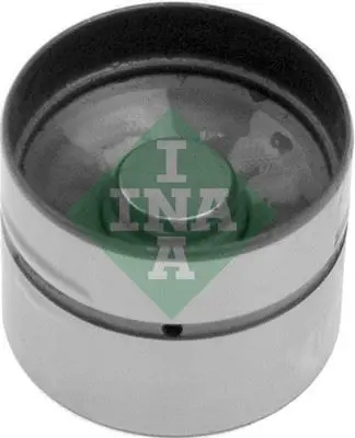 INA 51866701 Supap Fincani Egzoz Passat-A4-A6 1.8-1.8t (Aeb-Apu-Adr-Awt) 058109309E 058109309A 058109309K