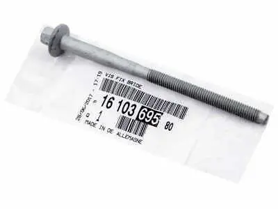 PSA  1610369580 Enjektör Bağlanti Vidasi 1610369580 1673999 RP1610369580 DRM0623S 6A41820 9659327680 1982C8 1372386 6C1Q9T506AB 6C1Q9T506AC