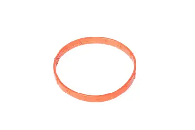 PSA  55577047 Conta Gaz Kelebegi 55577047 55580110 560720 825053 1462800