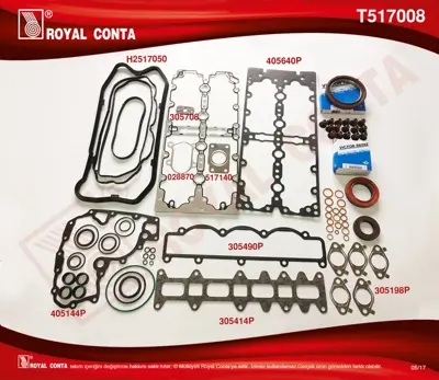 ROYAL CONTA OR-2545 Motor Takim Conta Skc'Siz Ducato 2.3 Jtd (Reinz Keçeli Ve Subap Lastikli) 51022000 504049360 332690 332691 S3707200 FB5722 13755101 S37072 212426 110861000