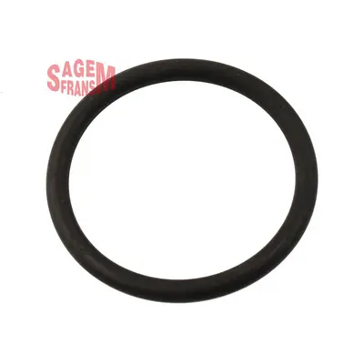 SAGEM  210102 Kelebek Boğaz Oring Clio - Megane - Laguna Kalin 8200068583 GM91160187 1661800QAB 7701045722 4409034 RINGAH009 ZVBZ0298