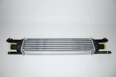 MOTORTEC  TMP0511 (X) Turbo Radyatörü (Intercooler) Grande Punto 05>linea 07> 1.3 Mtj (70 Cv) (450x100x52) 30751 L970212 818823 55702237 96500 7043122 17004319X 4881338 345400 313998