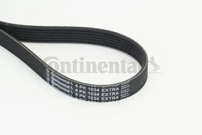 Continental  6PK1034EXTRA V Kayişi 