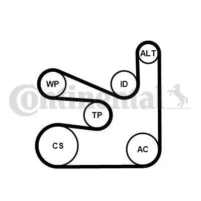 Continental  6PK1660WP2 Kanalli V Kayis Seti + Devirdaim Bmw F10 F20 F30 F22 F23 F32 F34 F36 G11 G12 F25 F26 G01 F15 11518514458 11287649968 11287636373