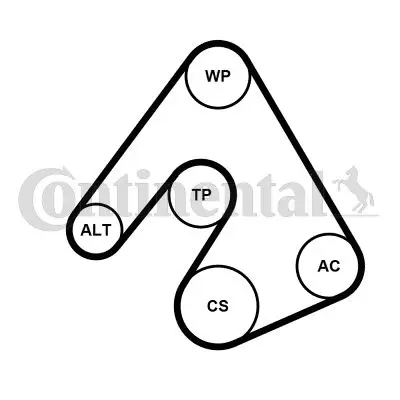 Continental  6PK2490WP1 Alternatör Gergi Kiti + Devirdaim 