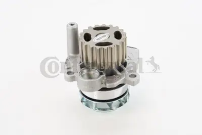 Continental  WP6072 Devirdaim 