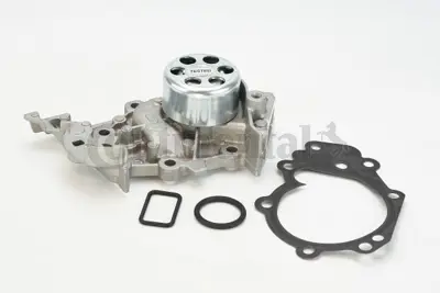 Continental  WP6081 Devirdaim 