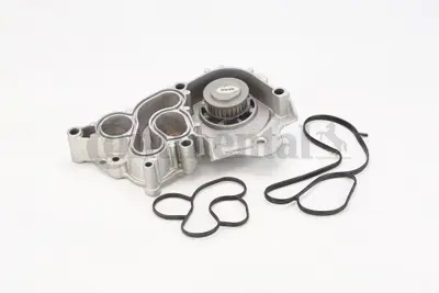 Continental  WP6094 Devirdaim 