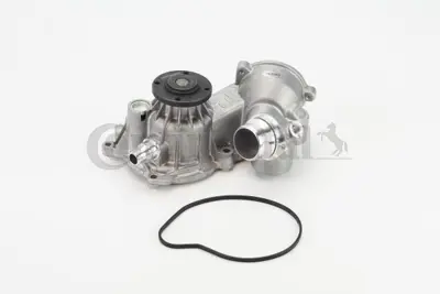 Continental  WPS3087 Devirdaim 