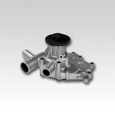 GK  981734 Water Pump - Corr. 21010-G5510 