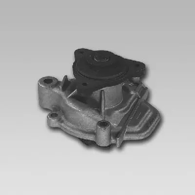 GK  981756 Water Pump 