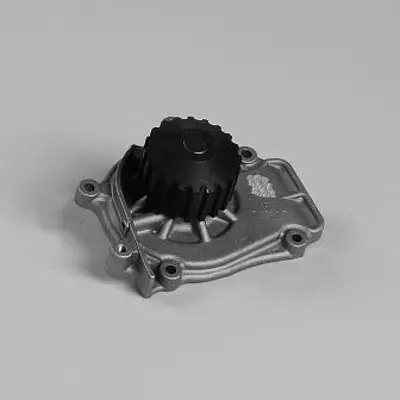 GK  981785 Water Pump 