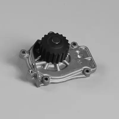 GK  981786 Water Pump - Corr. 19210-Pk2-305 