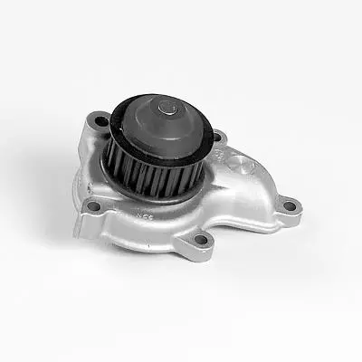 GK  987384 Water Pump 