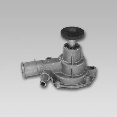 GK  987794 Water Pump 