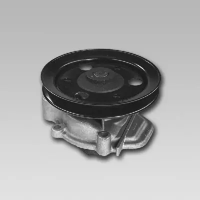 GK  987801 Water Pump 