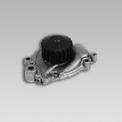 GK  987804 Water Pump 