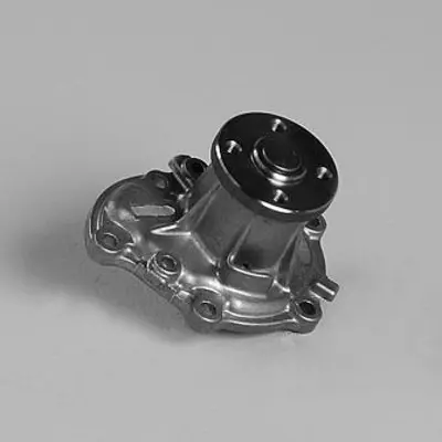 GK  987924 Water Pump 
