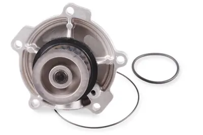GK  989728 Water Pump -Corr. 5066809aa 