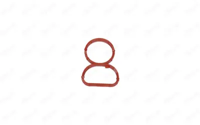 IBRAS  35044 Emme Manifold Contasi Bmw 1 (E87) 116 D 11617801438