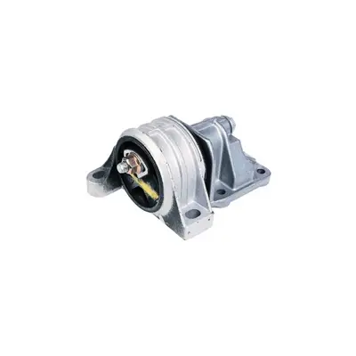MASTER  4377 Motor Takozu Komple Ducato-Boxer  2.0-2.2 Jtd (1335124080) 1335124080 1335125080 1807.S7