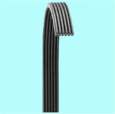 BANDO 2VP 009 425-121 Kanalli Kayiş Movano-Vivaro-Master-Lgn-Trafic 46555974 1172000QAG M883832 4418809 1172000QAK 30883832 31272251 QBR61795 6PK1795 30621318