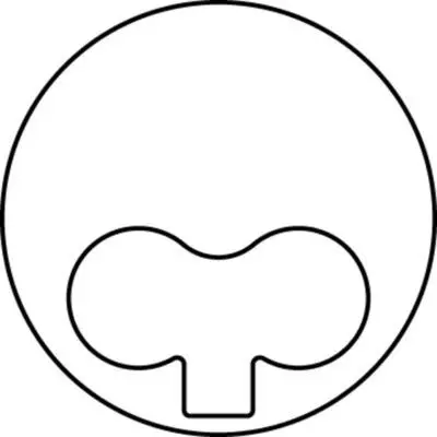 BEHR MAHLE 6955 (X) Motor Piston+segman (0.60) Ducato-Master 2.5d (93.60) (8140 67.2700.Euro2) 