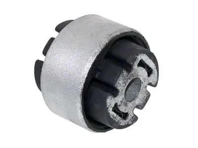 FAG 77 519 610 Salincak Burcu 