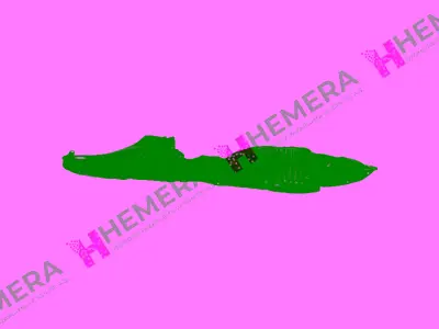 FPI 3397007856 Davlumbaz Çamurluk Ön Sağ Mazda Mazda 6 2004-2006 3451387 54966007 GJ6A56140D GJ6A56140N 5496622C 451831 5625009 37551371 932453 MZ0493604