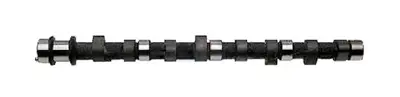 GEMSAFT M 510381 Eksantrik Mili Tempra Tipo Uno Slx 1.4 / 1.6 7552612 CP16332 CS6358 CM052113 93001900 T1950 1410910 EC312