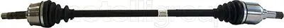 CIFAM 05-08403 (X) Aks Ön Sağ Grande Punto 1.2 07=> (Imp.Gkn) (17-0800) 55700559 306513 450023 46308335 617028 304603 24287 FI3444 46308499 46308488