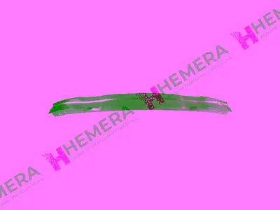 GORDON F009D02695 Demir Tampon Ön (Alüminyum) Audi A3 2008-2012 8P0807113F 334560 1032060 AD3221622 365745VA 8P4807113C 8P4807113B ACI0334560 318360 12031074