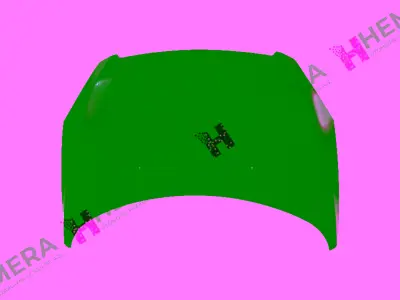 GORDON F00HL00050 Kaput Motor Peugeot 307 2001> 7901J0 PG4203100 5514280 5514280Q 5514280A1 54935275 4040660 648700 573903 583710010