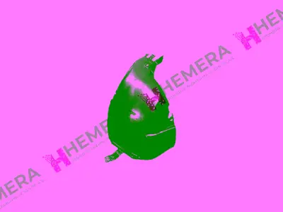 GORDON F00HL00122 Davlumbaz Çamurluk Ön Sağ (Parça) Opel Astra J 2010> 13373508 1106028 DS4163603 OP4163603 54291HNA