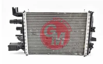 GUA 33104060 Turbo Radyatörü Intercooler Dacia Duster Ii 1.5 Dci 18=> 214106421R CR2632000P WG2193158 723073