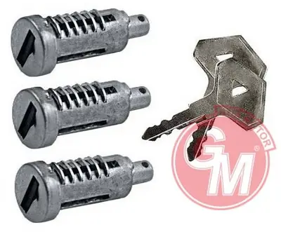 GUA 33104689 Kapi Kilit Şifre Takimi(3 Lü Set) Renault R12 Toros 7701348432
