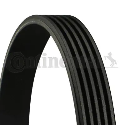 Continental 341311 Kanalli Kayiş Focus Cmax 1.6-Ti (03-07)-Cmax 1.6 07=> Focus 1.4-1.6-Ti 04=> Volvo S40 1.6 C30 (05-12 30650846 5PKS0868 38242 4M5Q6C301BB 5EPK868 1255103 QBR5868E VKMV5SK868 305P0207 5PK0870SF