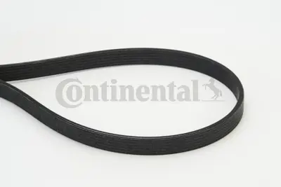 Continental 341845 Kanalli V Kayisi Bmw E81 E82 E87 E90 E92 E93 E60 E84 E83 E61 ( 6 Dpk 1817 ) 11288574958 8512069 6DPK1817 11288512069 501683 8574958 6PKD1817 1987946216 7800345 8506994