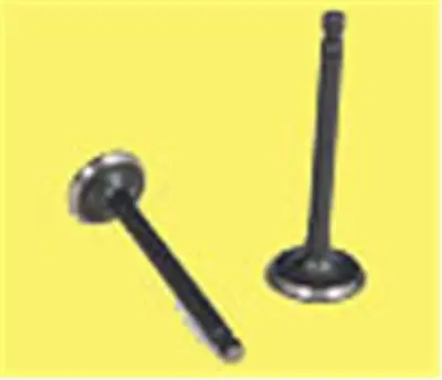 GÜNEŞ 23895 Subap Emme+egzoz P206 1.1 İ 8v (In-4/Ex-4) 0948.91 0949.59