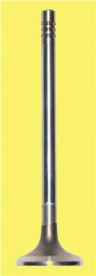 GÜNEŞ 23944 Subap Emme+egzoz C2-C3-Xsaraii-Nemo-107-206-207-307-Bipper Fiorino (Dv4) (In-4/Ex-4)  1.4 Hdi-Fiesta -Fusion 1.4 Tdci 02>08  (20095-40 / 20096-40) Std 2S6Q 6505 2S6Q 6507 0948.C2 0949.B1