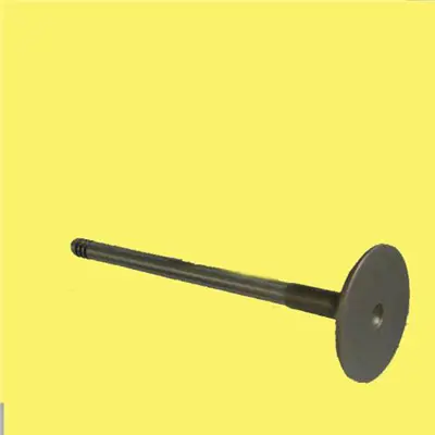 GÜNEŞ 23957 Subap Emme+egzoz R12 1400 8v (In-4/Ex-4) 510200 7701463181 7700666112 2748 3966 6001004967 517962 7701461214 32776957 517962EX