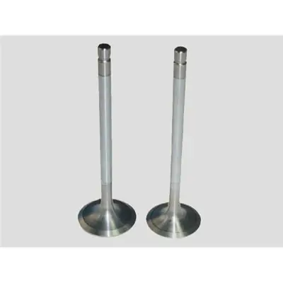 GÜNEŞ 23966 Subap Emme+egzoz R21 Gts/Rx –gtx/Ti/Txe/Nevada 8v (In-4/Ex-4) 7701460147 V90371 VL022200 536226 7700644710 94836 21VE30848000 2453900 1298INTERVALVES 1751INTERVALVES