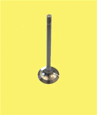 GÜNEŞ 23972 Subap Emme+egzoz Mgn 2.0 16v (F4 Motor) (In-8/Ex-8) 7701471279 R6138S 1863S 7701474287 21VE30930000 4411048 VL132700 V94606 50V101S00 1320100QAE