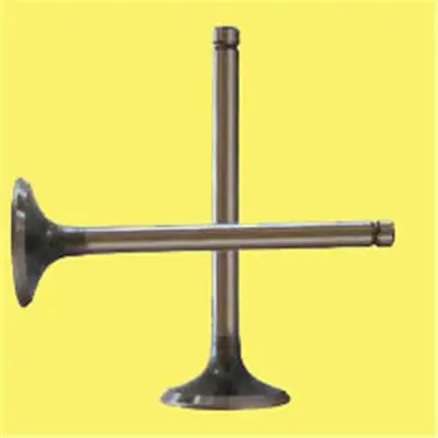 GÜNEŞ 26669 (X) Subap Emme+egzoz Vectra 2.2 16v (In-8/Ex-8) 641056 11VE30942000 12575793 641063 6308SCR 3196032 291109 123339SX V94962 VL148000