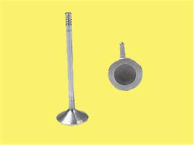 GÜNEŞ 43063 (X) Subap Emme+egzoz Lgn 1.6 16v (In-8/Ex-8) 9454607 1919 IV94706 37VE31160000 1369828 R6298SCR R6298 6M5G6507AA 3377 V95049