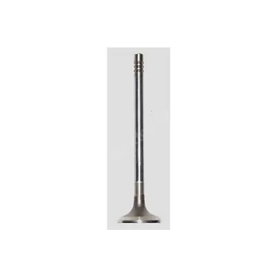 GÜNEŞ G16694 (X) Subap Emme+egzoz Xsara 1.6i 8v (Tu5jp) (In-4/Ex-4) 96101887 764 EV7506 537506 EV537506 R4882RCR VL111700 2760 2760239 39VA30605100