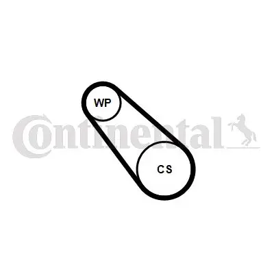 Continental TD537W Multi V-Belt Kit + Water Pump 