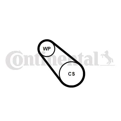 Continental TD590W Devirdaim + Kayiş (3pk576) Astra L 21> Corsa F-Combo E 19> Crossland 17> C4 14> C5 18> C3 14> 208  13> 308 13> 408 22> 508 20> 2008 15> 3008 15> 5008 15> Toyota Proace 1.2 B-D-F12xht Puretech 9803094380 3639881 986909 101274 PA1613 538071310 C152 AD04107 WPK555 570145N
