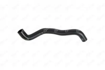 IBRAS 1183 Radyatör Üst Hortumu Renault Kangoo Ii 1.5 Dci 08=> 8200455782 3404038 T407437 R4551 7437 52969 12507 2420404 54668 DWR040TT