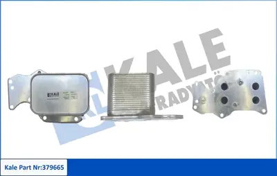 KALE 210010N Motor Yag Sogutucusu Bmw B38 B46 B48 F20 F22 F30 F32 F34 F36 G20 G30 G32 G11 G12 G01 G02 8095202 11428585624 31793 590202 11428574003 95202 90851 381590190 7024025 30182